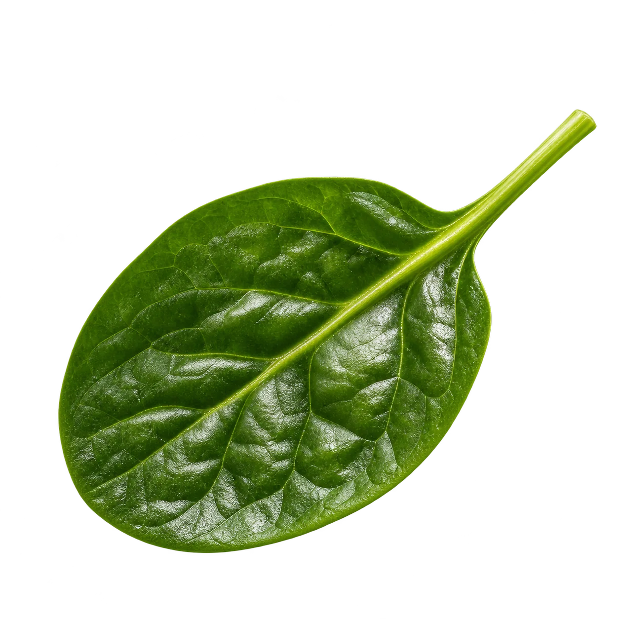 Espinacas