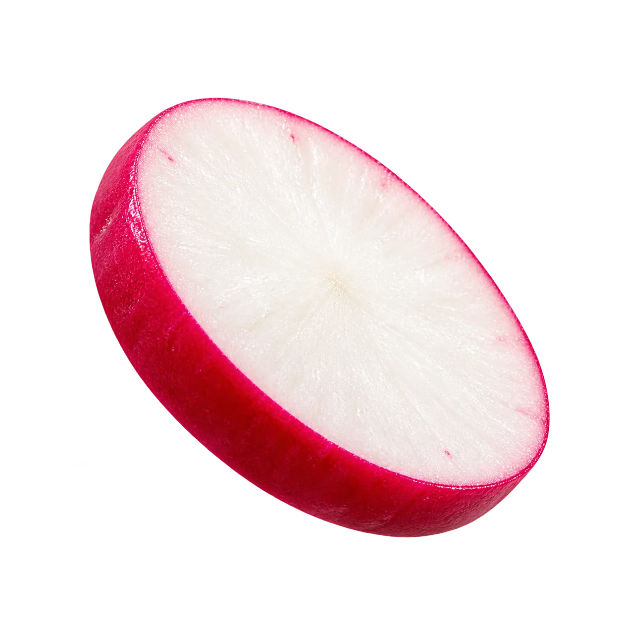 Rábano